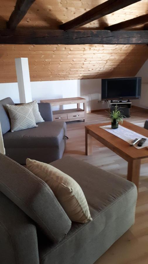 Feriendomizil Annette'S Scholle Apartment Sondershausen Ngoại thất bức ảnh